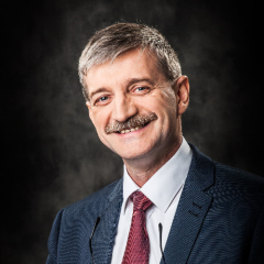 Witold Witowski